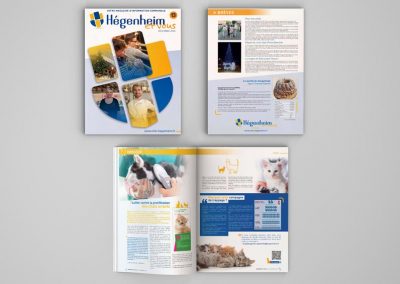 Magazine de Hégenheim 2020